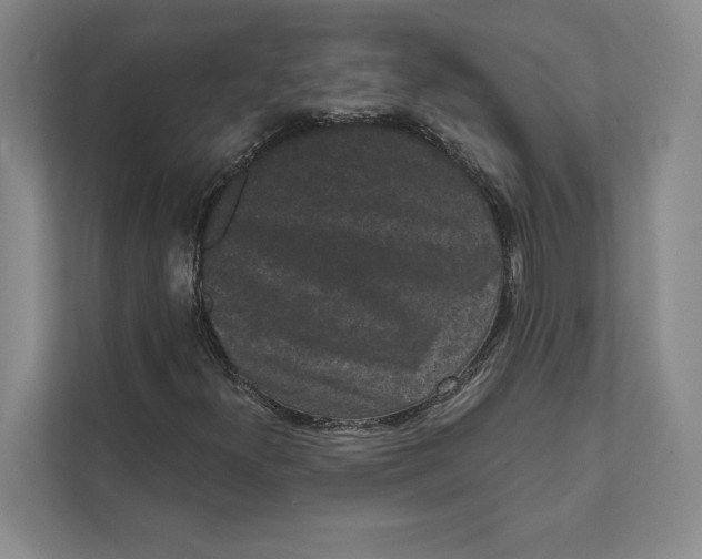 X0000111461300200908031331