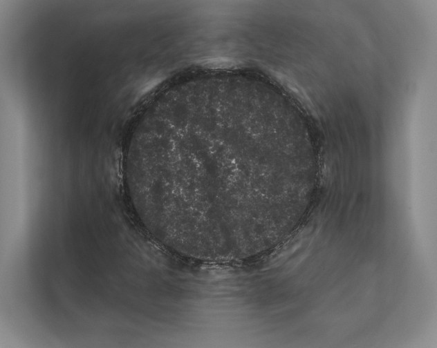 X0000111461301200908031331