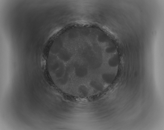 X0000111461302200908031331