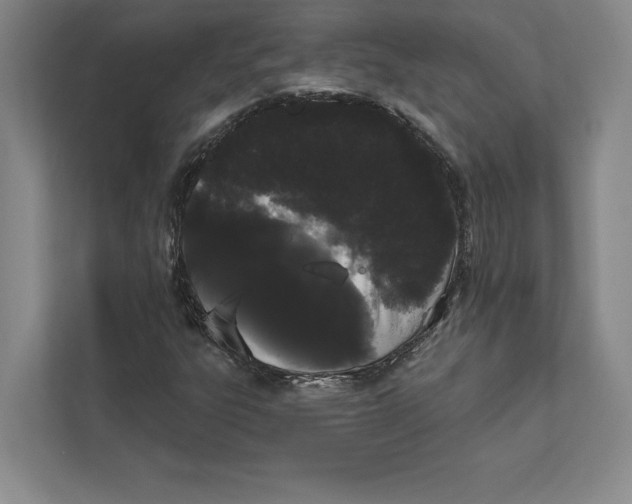 X0000111461303200908031331