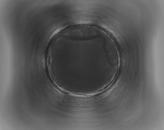 X0000111461306200908031331