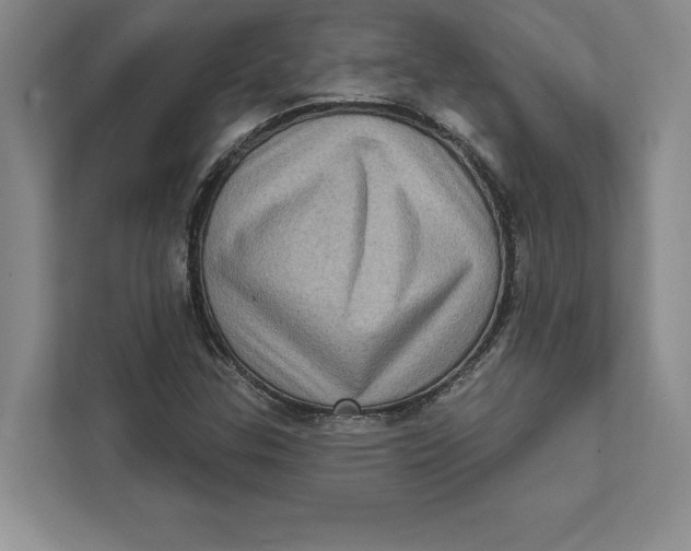 X0000111461307200908031331