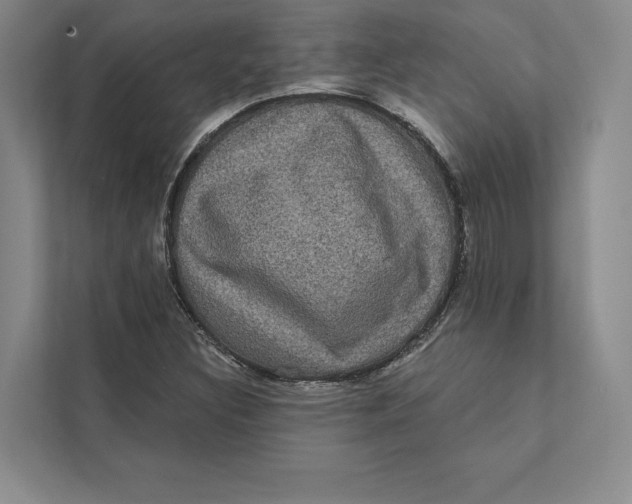 X0000111461308200908031331
