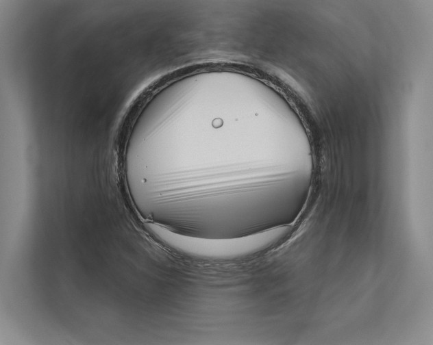 X0000111461310200908031331