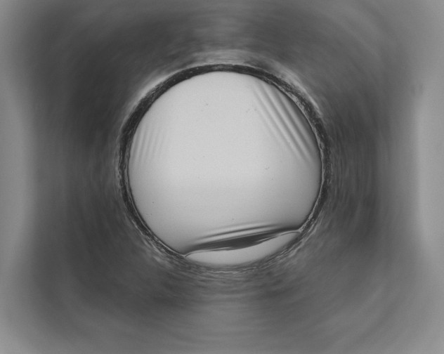 X0000111461312200908031331