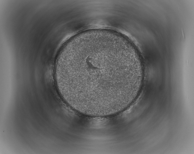 X0000111461314200908031331