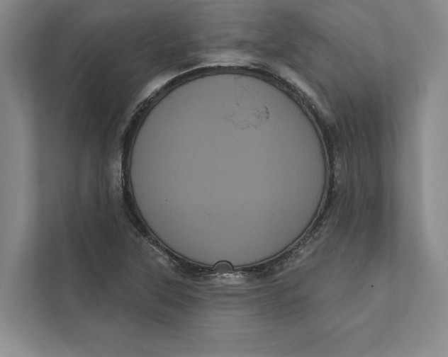 X0000111461315200908031331