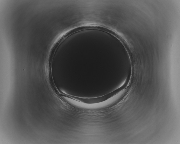 X0000111461319200908031331