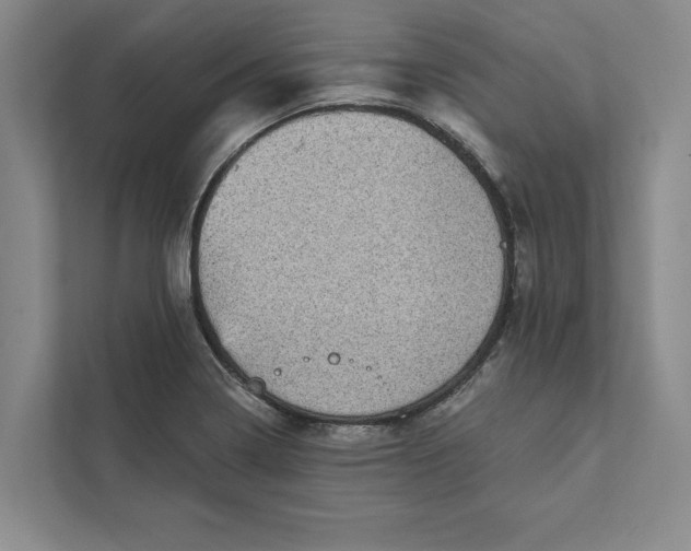 X0000111461322200908031332