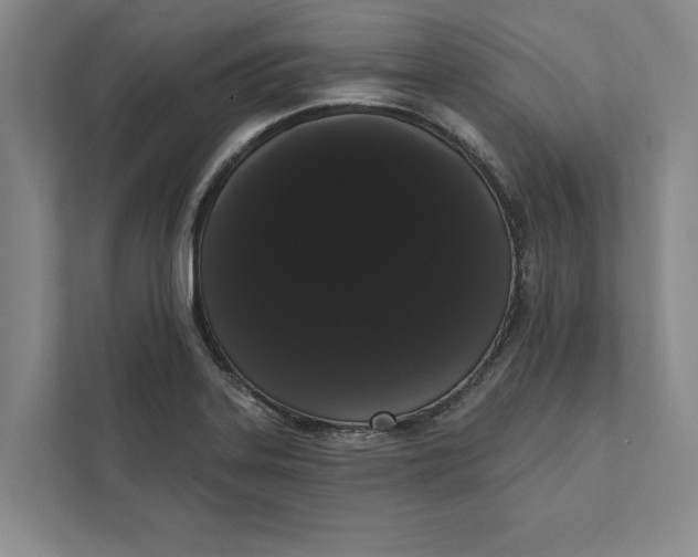 X0000111461323200908031332