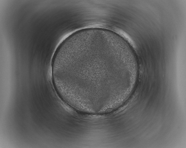 X0000111461324200908031332