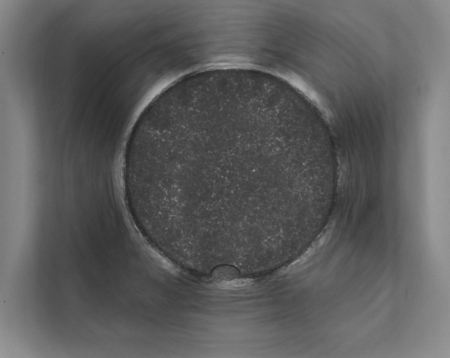 X0000111461325200908031332