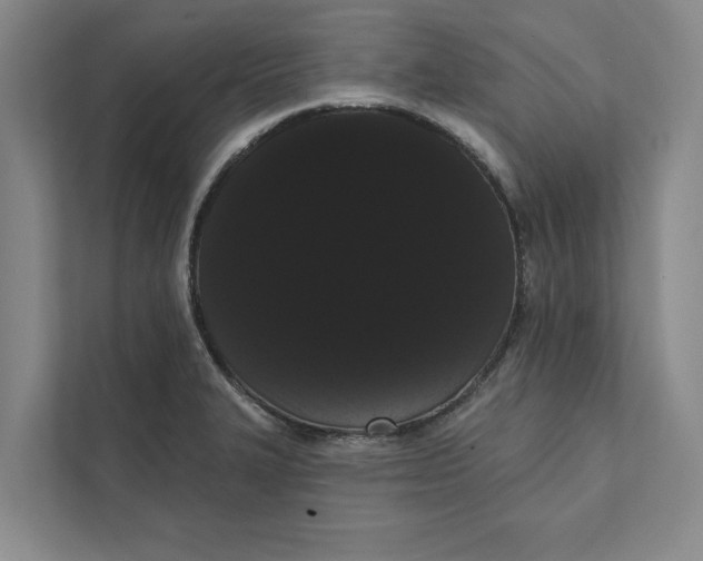X0000111461327200908031332
