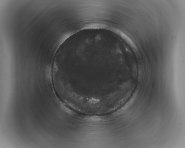 X0000111461329200908031332