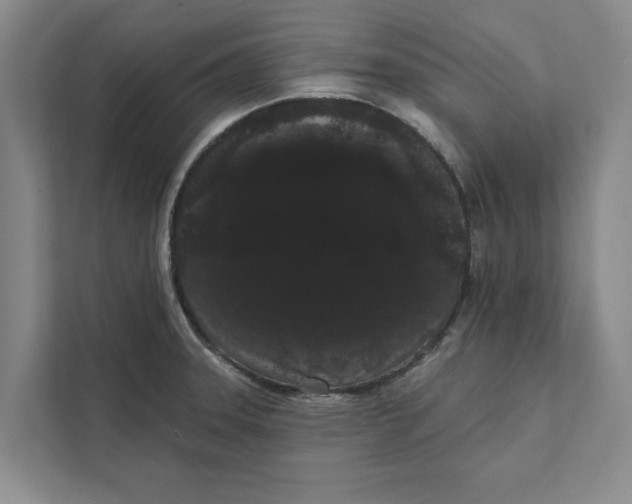 X0000111461331200908031332