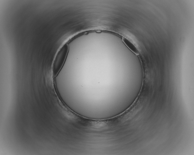 X0000111461332200908031332