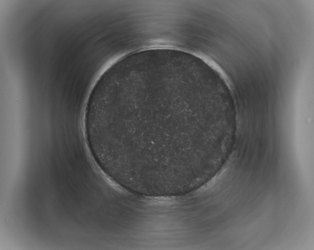 X0000111461333200908031332