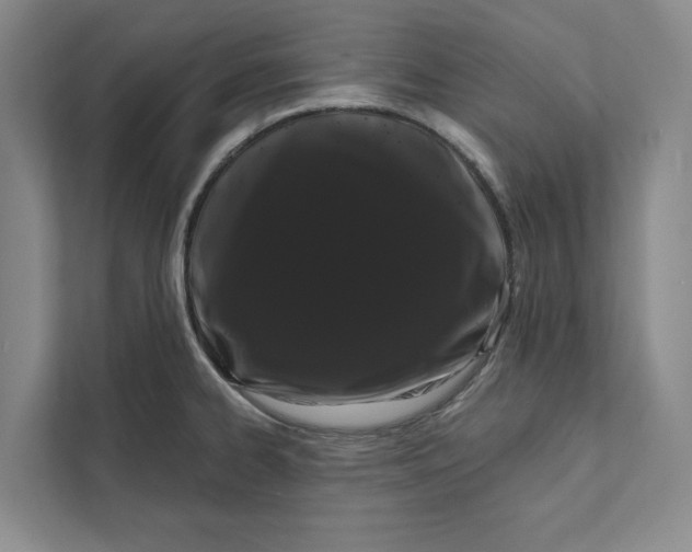 X0000111461334200908031332