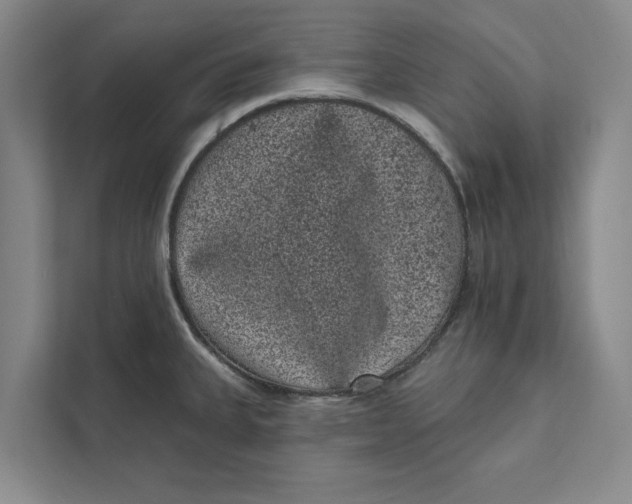 X0000111461335200908031332