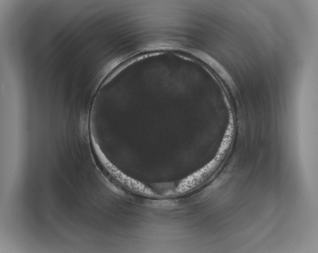 X0000111461337200908031332