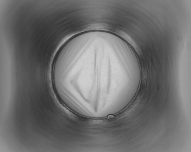 X0000111461339200908031332