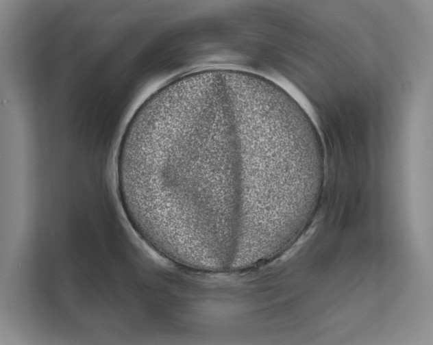 X0000111461341200908031332