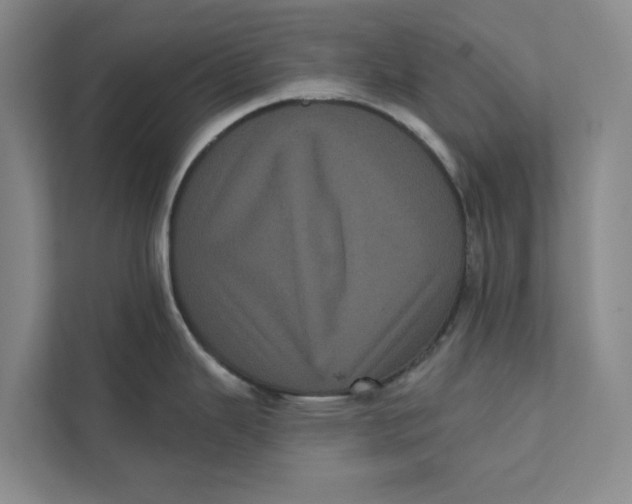 X0000111461343200908031332