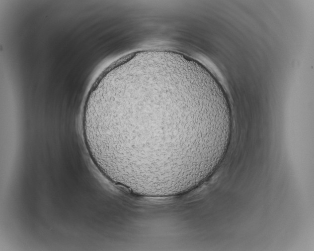 X0000111461344200908031332