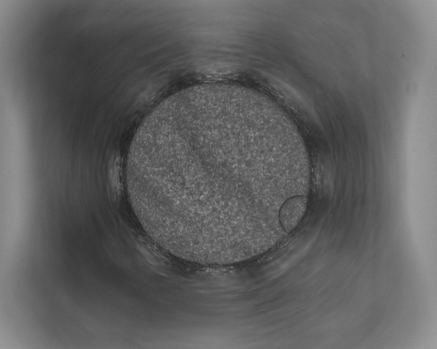 X0000111461346200908031331