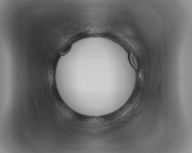 X0000111461348200908031331