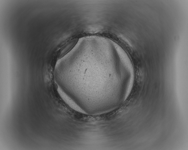 X0000111461349200908031331