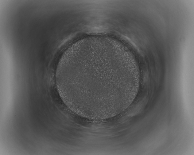 X0000111461350200908031331