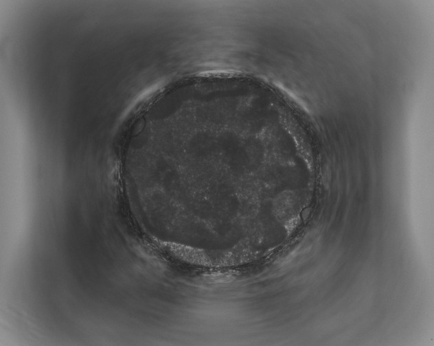 X0000111461351200908031331