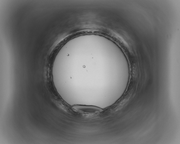 X0000111461352200908031331