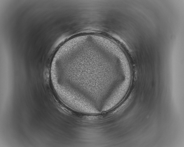 X0000111461355200908031331