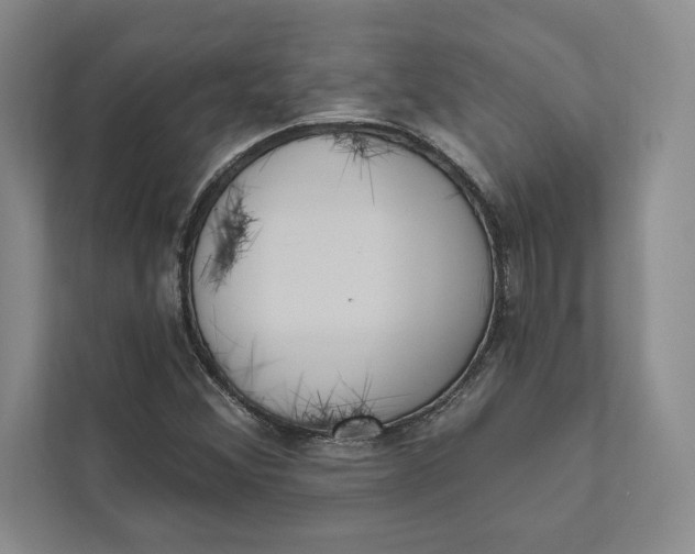 X0000111461356200908031331