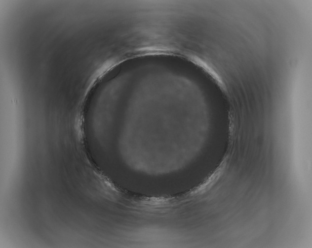 X0000111461357200908031331