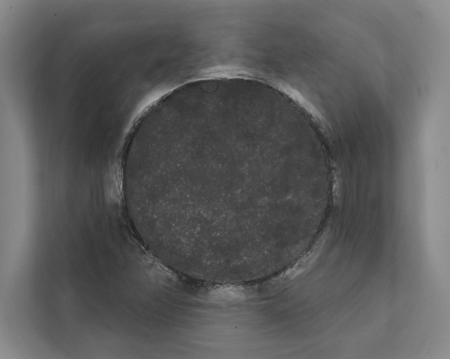 X0000111461358200908031331