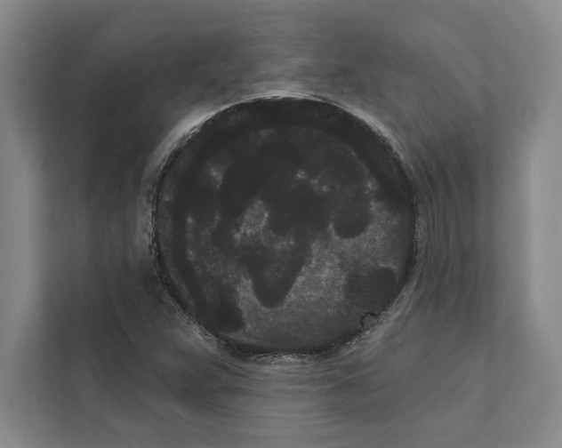 X0000111461359200908031331