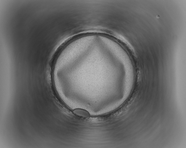 X0000111461360200908031331