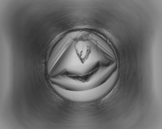 X0000111461361200908031331