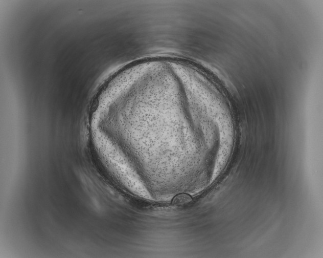 X0000111461363200908031331