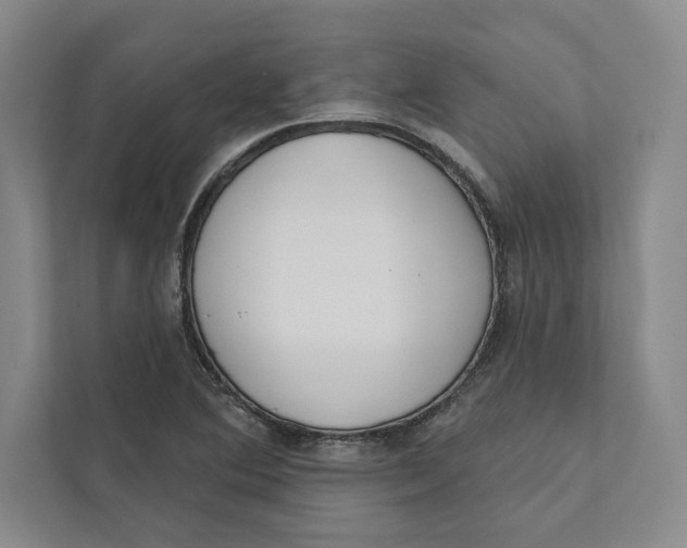 X0000111461364200908031331