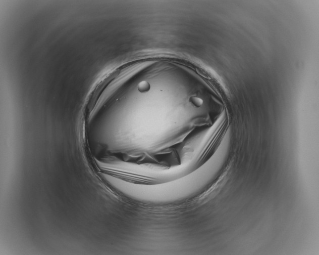X0000111461365200908031331