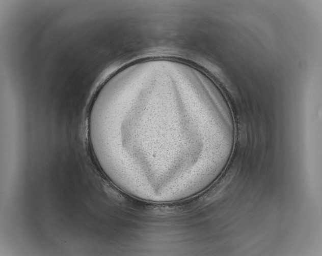 X0000111461366200908031331