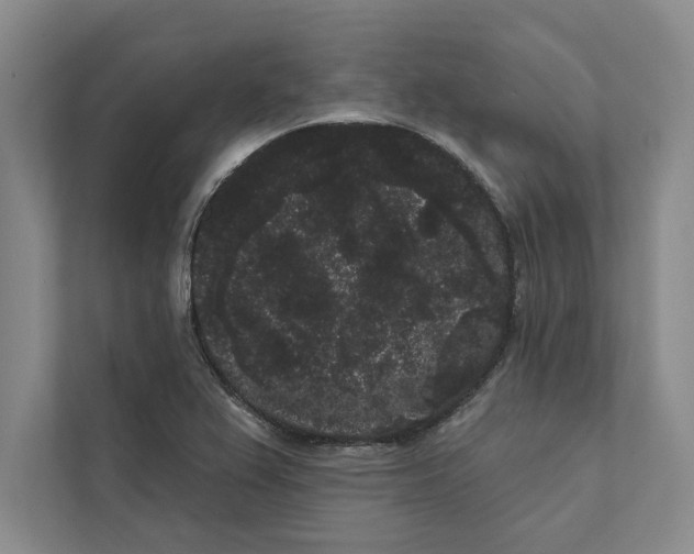 X0000111461367200908031331