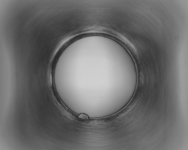 X0000111461368200908031331