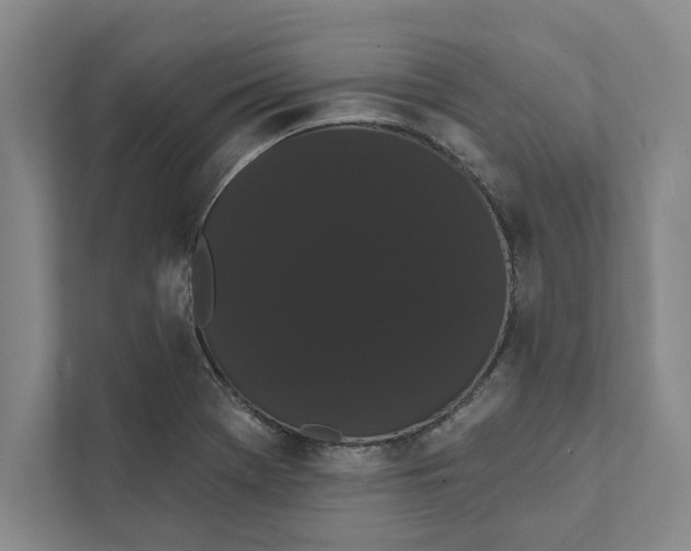 X0000111461369200908031331