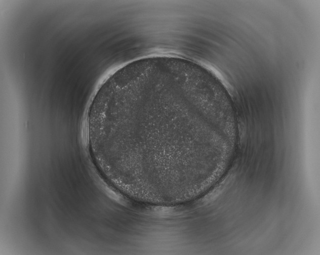 X0000111461371200908031331