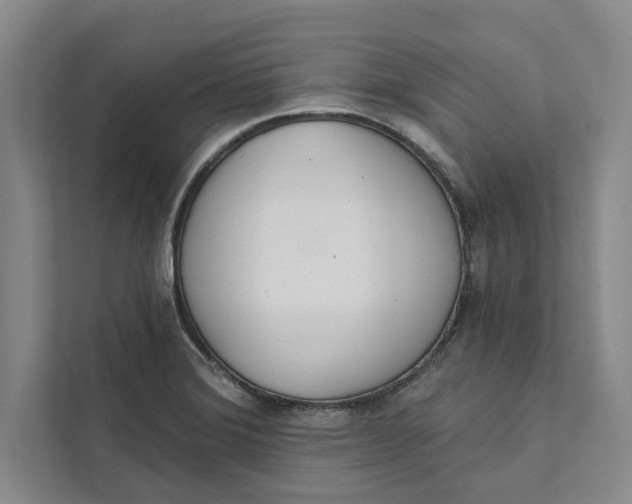 X0000111461372200908031331